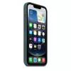 Apple Silicone ümbris iPhone 16e Lake roheline