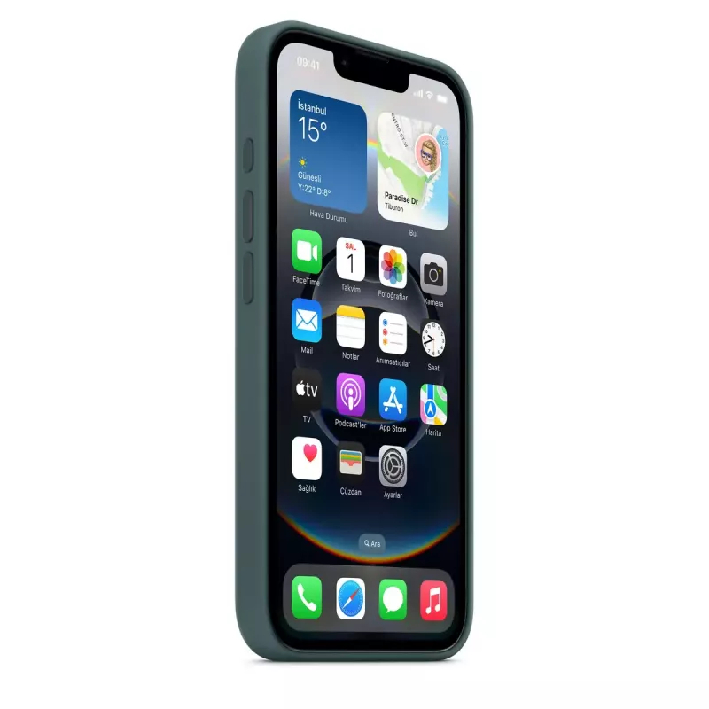 Apple Silicone ümbris iPhone 16e Lake roheline