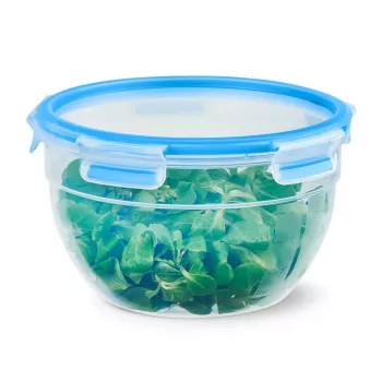 EMSA CLIP & CLOSE N10114 Ümmargune konteiner 2,6 l Sinine, Läbipaistev 1 tk
