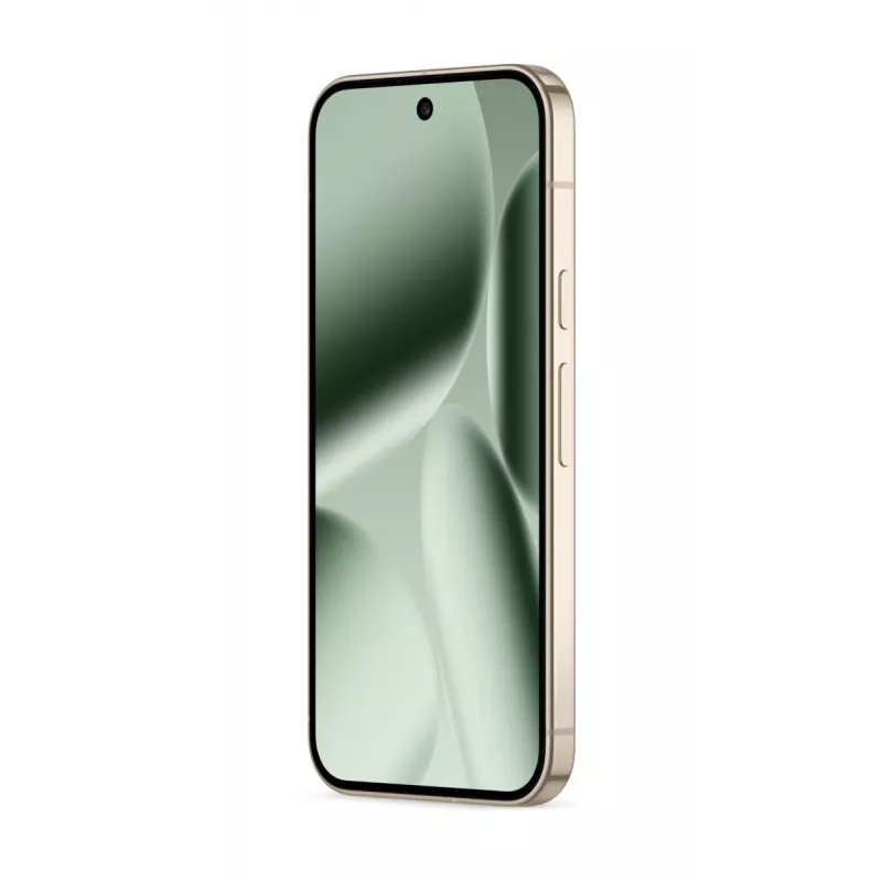 GOOGLE Pixel 10 Pro - Jade - 16GB - 256GB - 6.3 tolli