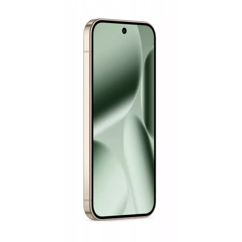 GOOGLE Pixel 10 Pro - Jade - 16GB - 256GB - 6.3 tolli