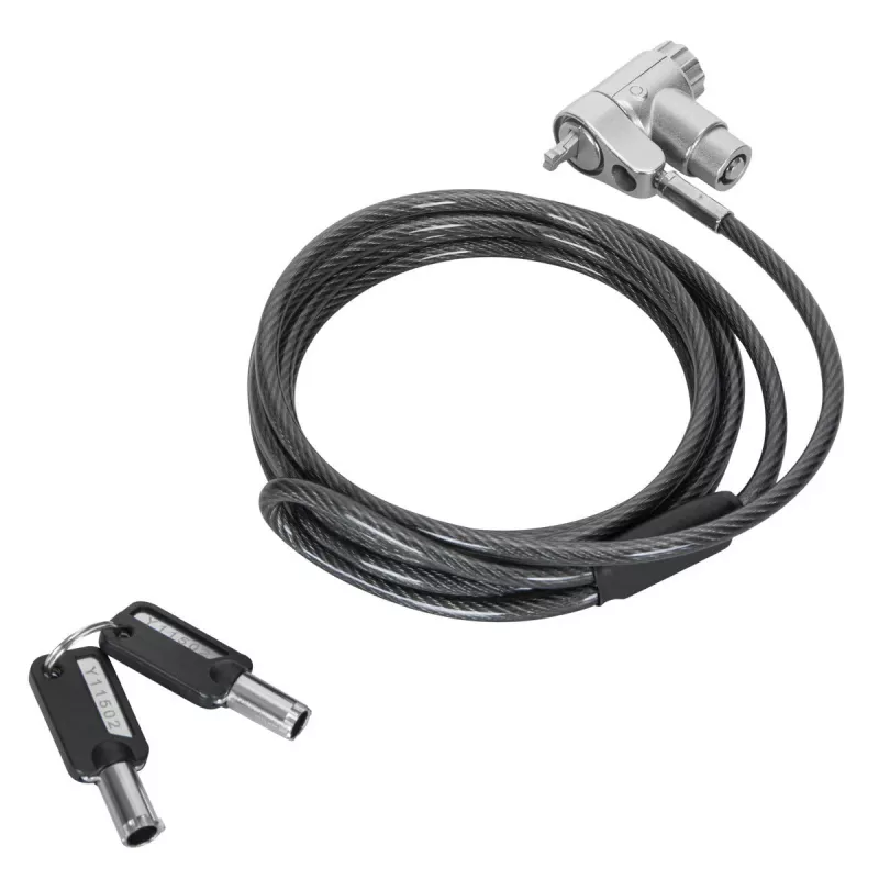 kaabel Lock Targus ASP95MKGLX-25 Silver 2m Key Lock