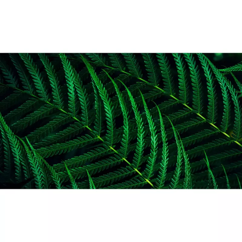 Philips 5000 seeria 27B2G5601/00 arvutimonitor 68,6 cm (27 tolli) 2560 x 1440 pikslit Quad HD LCD must