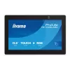 Monitor iiyama TW1625LASC-B3PNR 15.6-tolline puuteekraaniga LED 1920x1080