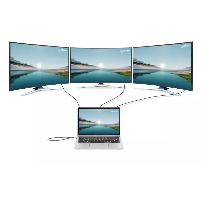 Dokkimisjaam/Keskus Manhattan USB-C 10 porti 4K 60Hz Power Delivery