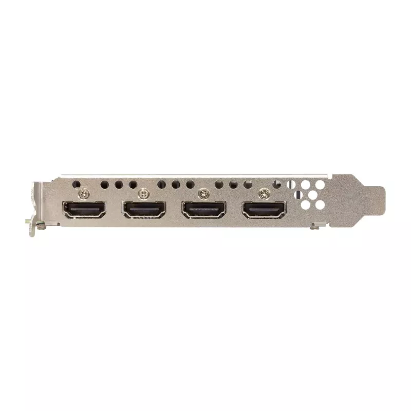 Graafikakaart Sparkle Intel Arc A310 OMNI View — 4 GB GDDR6, 2000 MHz, PCIe 4.0 x8