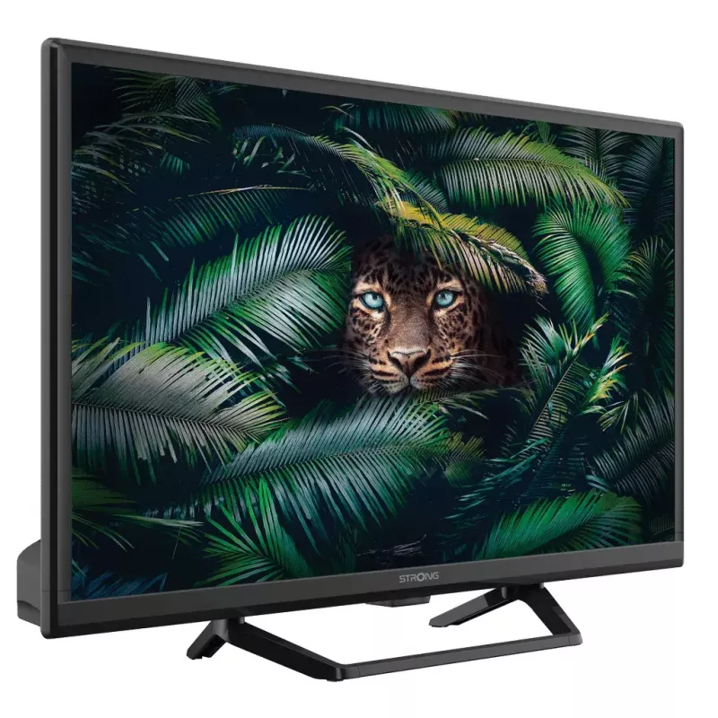 Televiisor Strong SRT 24HE4023C 24 tolli HD LCD 1366 x 768