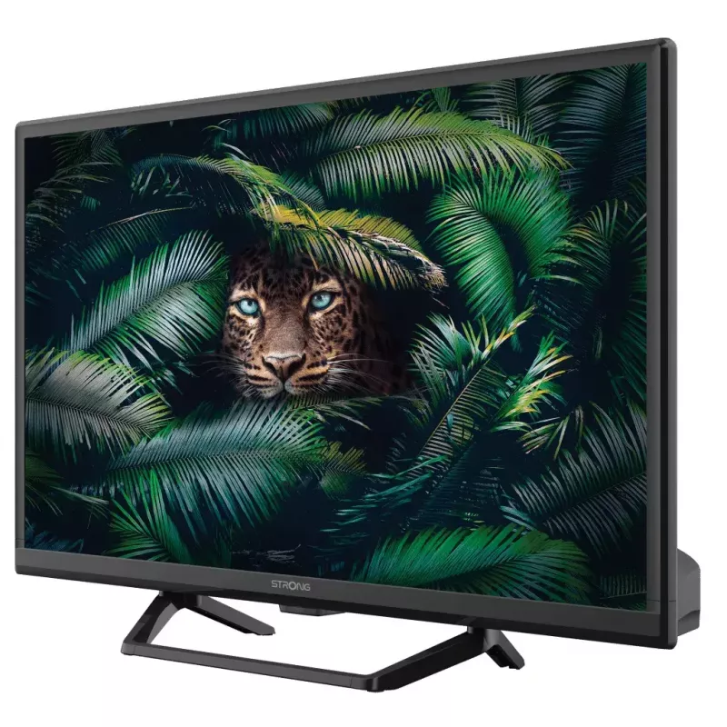 Televiisor Strong SRT 24HE4023C 24 tolli HD LCD 1366 x 768