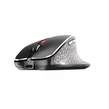 CHERRY MW 8C ERGO hiir Paremakäeline RF Juhtmevaba + Bluetooth Optiline 3000 DPI
