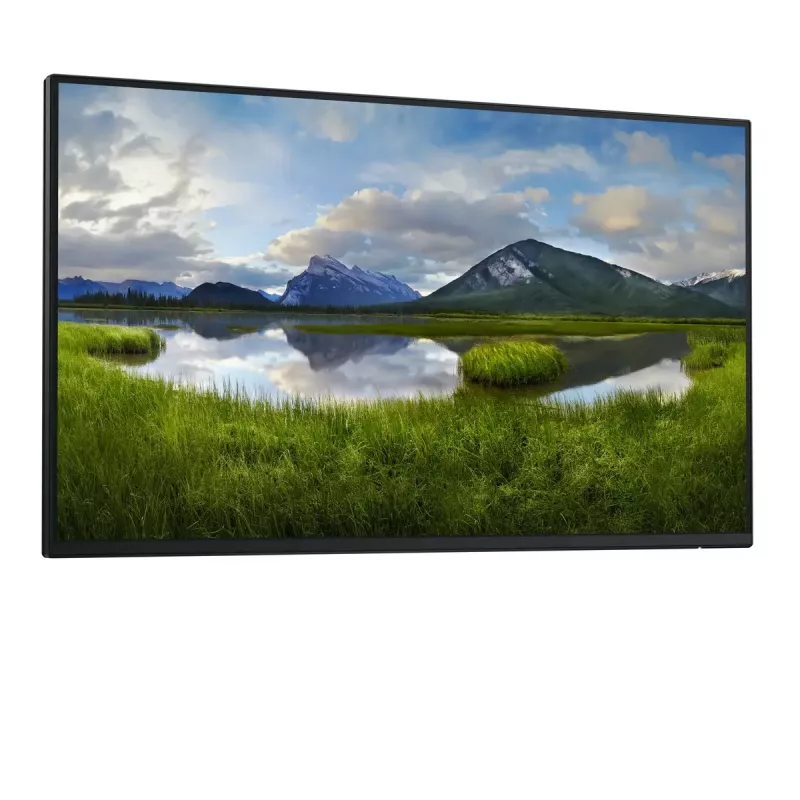 DELL Pro Plus P2425HE_WOST arvutimonitor 61 cm (24 tolli) 1920 x 1080 pikslit Full HD LCD must