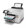Canon MAXIFY GX5550 tindiprinter Värviline 600 x 1200 DPI A4 Wi-Fi