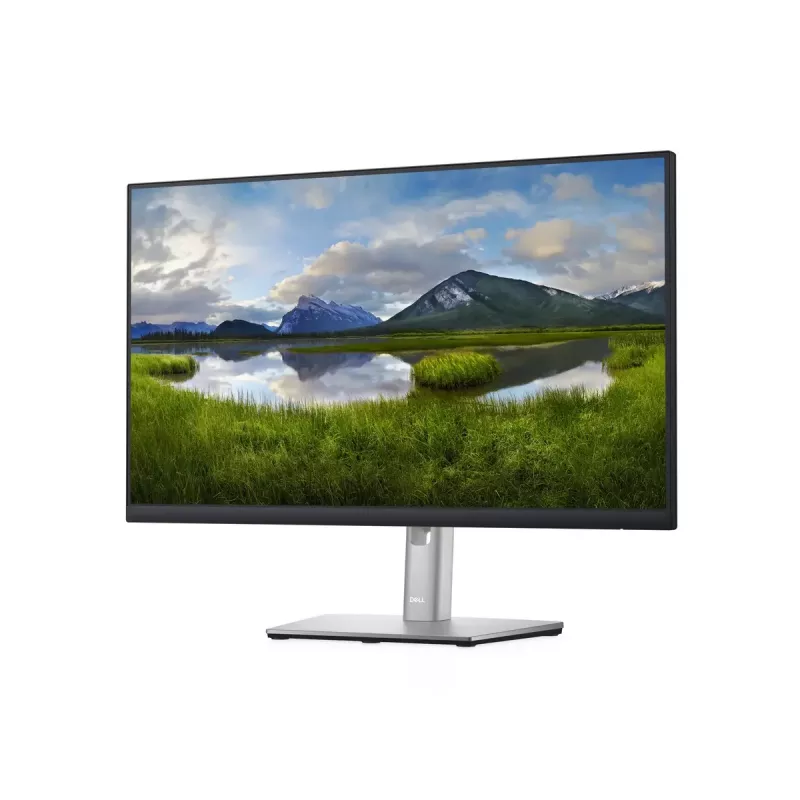 Monitor DELL P Series P2422H 23.8 tolli Full HD LCD 1920 x 1080