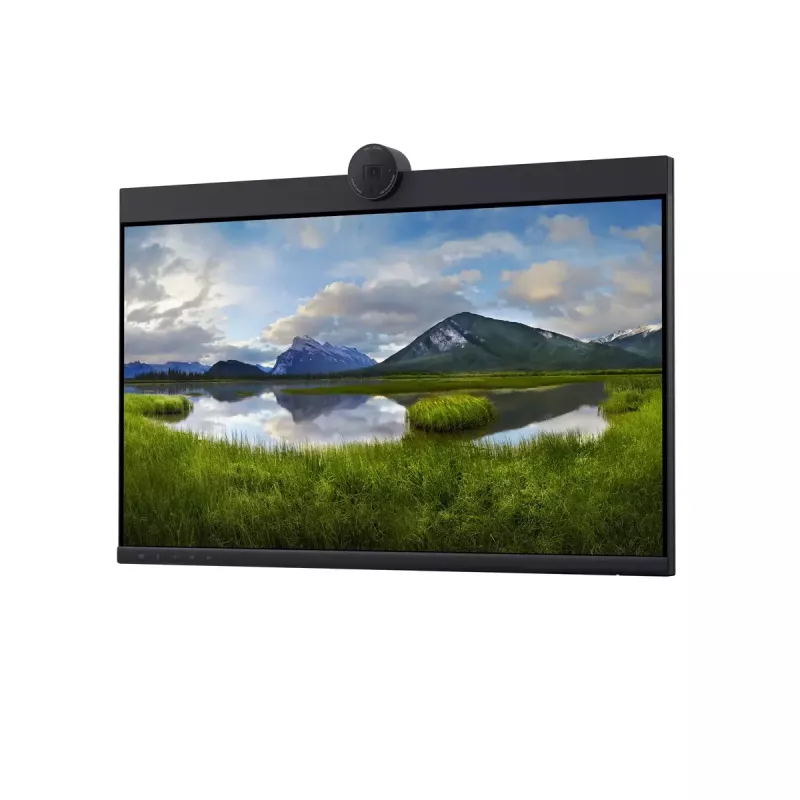 DELL P2424HEB 60.5 cm (23.8 tolli) LCD 1920 x 1080 pikslit Full HD