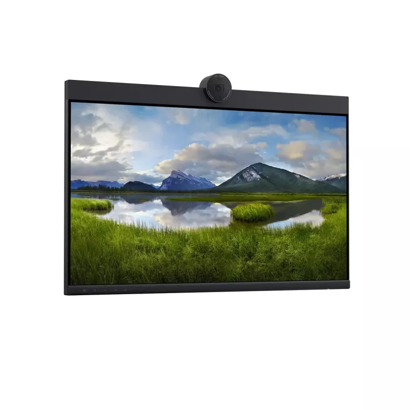 DELL P2424HEB 60.5 cm (23.8 tolli) LCD 1920 x 1080 pikslit Full HD