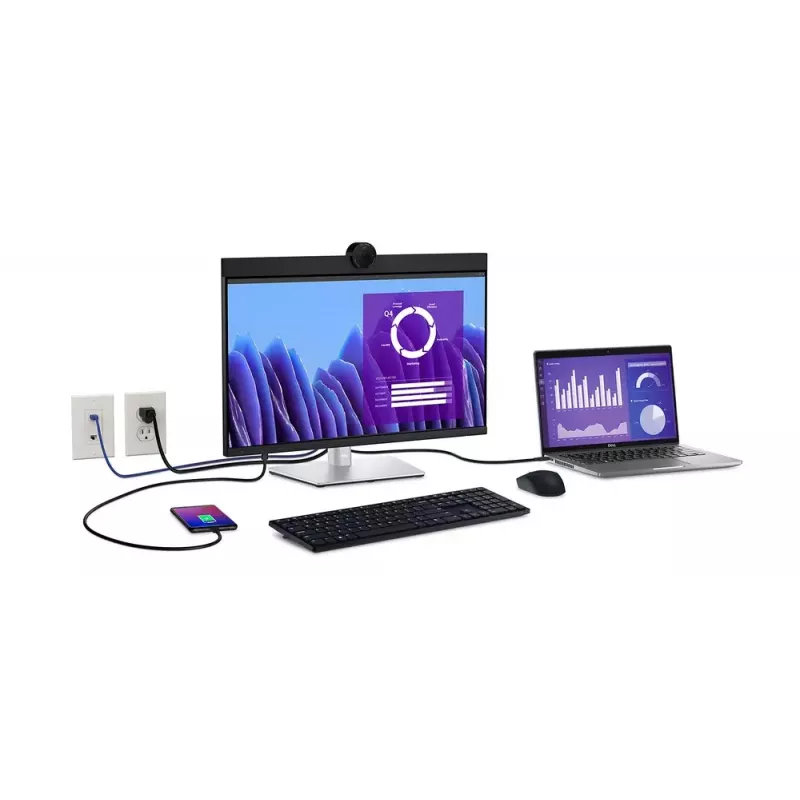 DELL P2424HEB 60.5 cm (23.8 tolli) LCD 1920 x 1080 pikslit Full HD