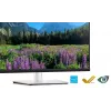 DELL P2424HEB 60.5 cm (23.8 tolli) LCD 1920 x 1080 pikslit Full HD