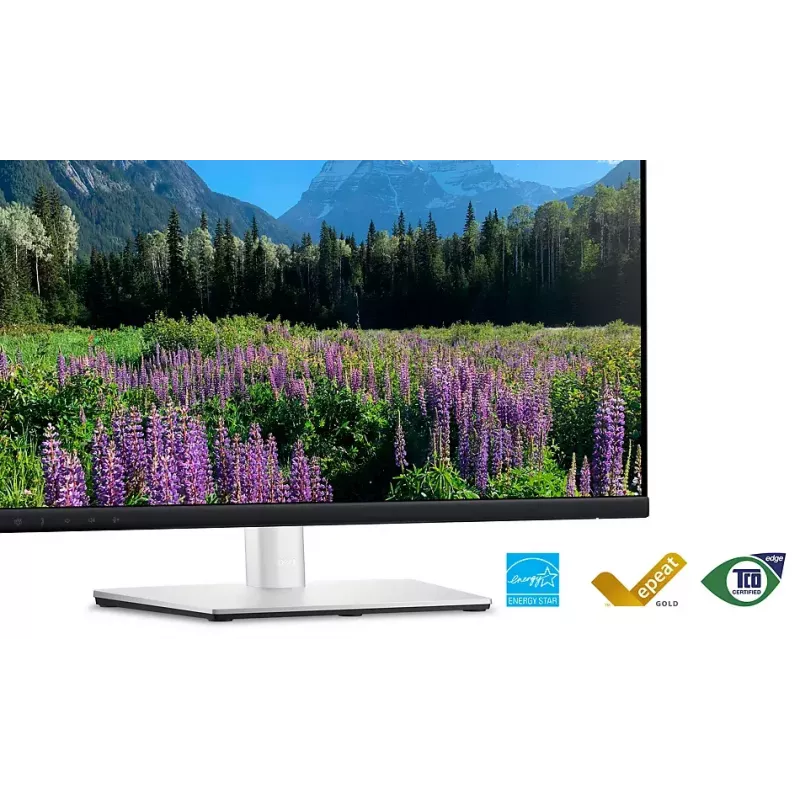 DELL P2424HEB 60.5 cm (23.8 tolli) LCD 1920 x 1080 pikslit Full HD