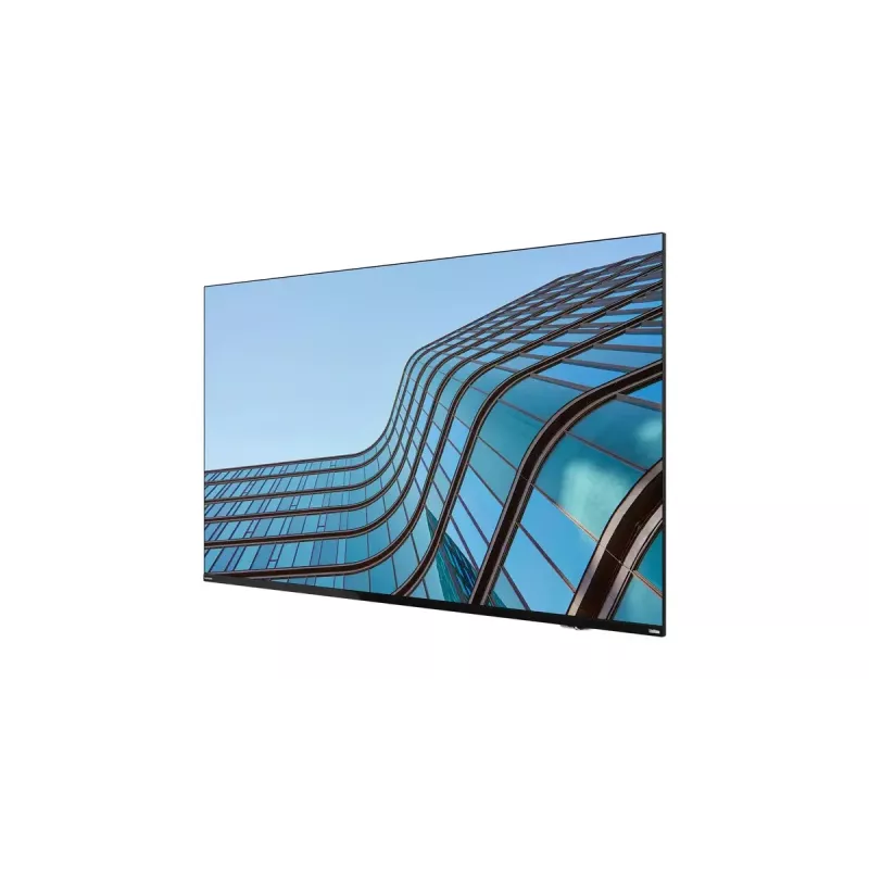 Lenovo ThinkVision E55 LFD arvutimonitor 138,7 cm (54,6 tolli) 3840 x 2160 pikslit 4K Ultra HD IPS Must