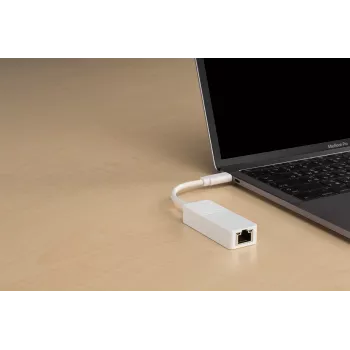 D-Link USB-C Gigabit Etherneti adapter, juhtmega, USB Type-C, Ethernet, 1000 Mbit/s, valge