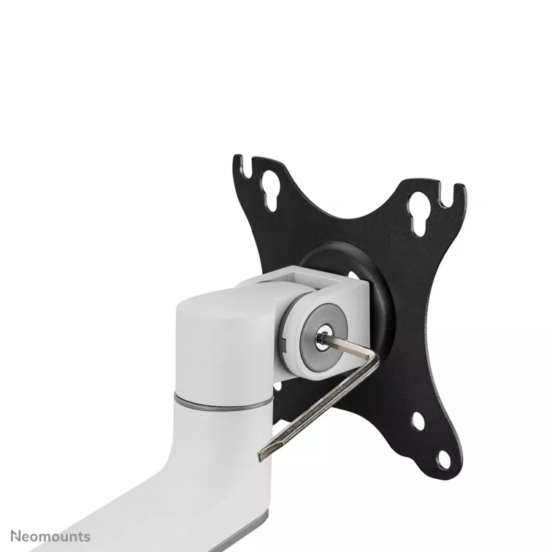 Neomounts DS60-425WH1 Monitori käsi 17-27 tolli - ruumi säästev, Klambriga/Keermestatud, 8 kg, 43,2 cm (17 tolli), 68,6 cm (27 tolli), 100 x 100 mm, Valge