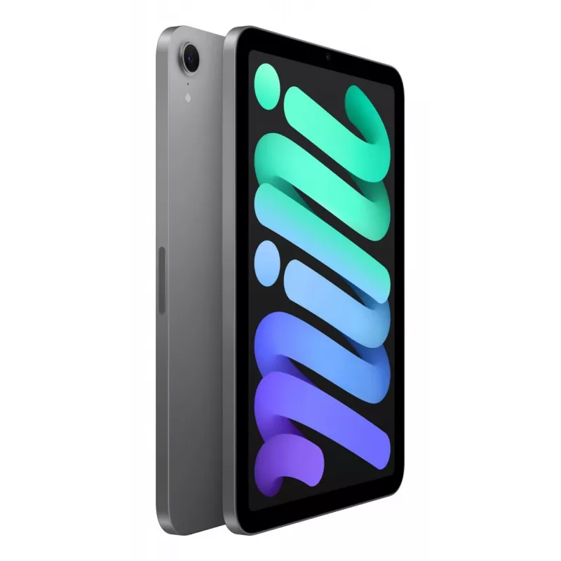 APPLE iPad Mini Wi-Fi 256GB - Space Gray