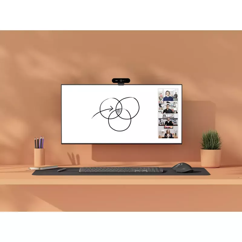Kaamera Logitech Scribe Full HD 1920 x 1080 15 fps Bluetooth Valge