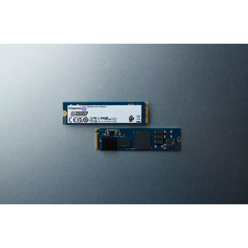 Kingston Technology 960G DC2000B PCIe 4.0 M.2 2280 Enterprise SSD