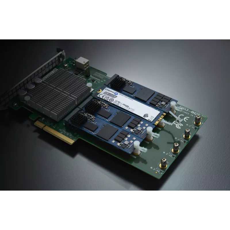Kingston Technology 480G DC2000B PCIe 4.0 M.2 2280 Enterprise SSD