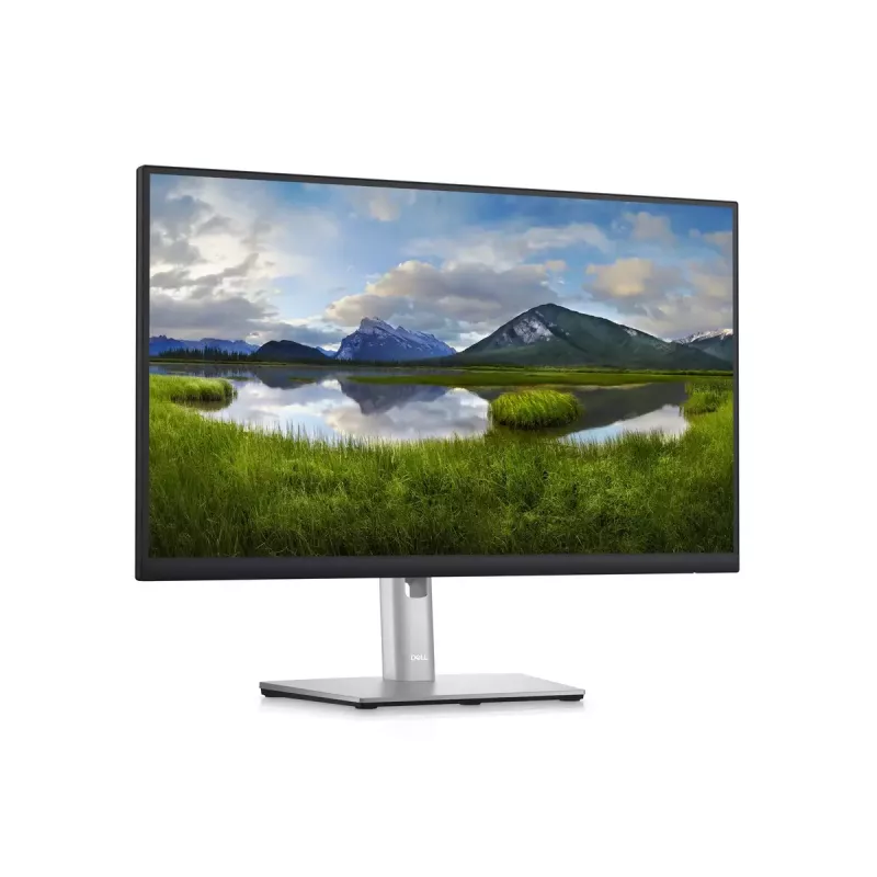 Monitor DELL P2423D 23.8 tolli LCD Quad HD 2560 x 1440