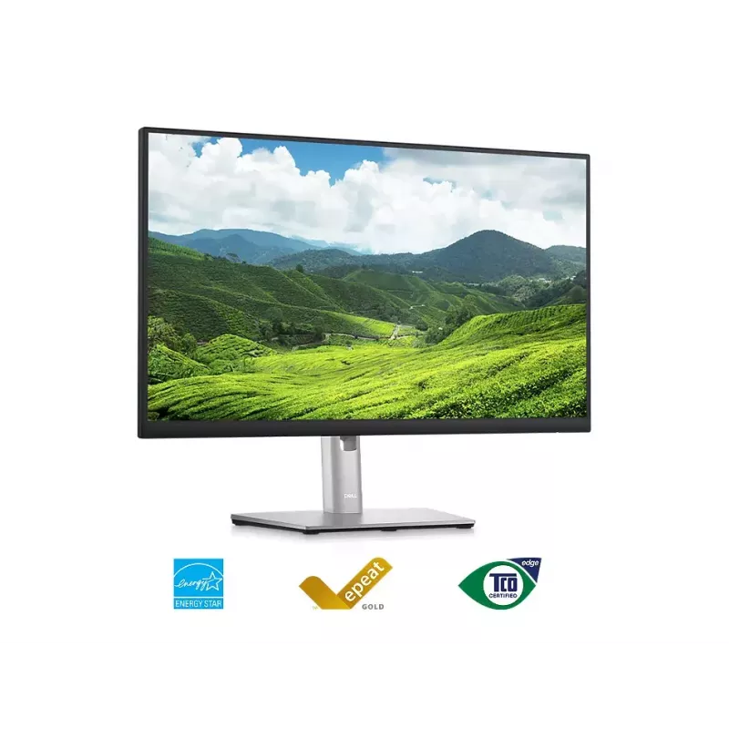 Monitor DELL P2423D 23.8 tolli LCD Quad HD 2560 x 1440