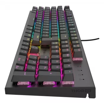 GENESIS NKG-2179 klaviatuur Gaming USB QWERTZ German Must