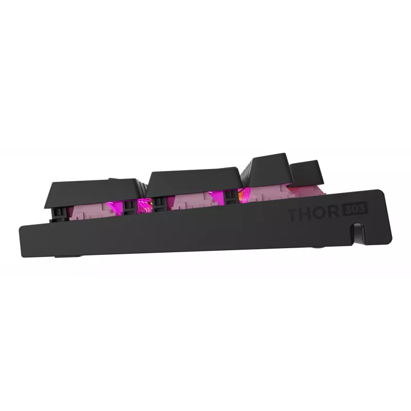 GENESIS NKG-2179 klaviatuur Gaming USB QWERTZ German Must