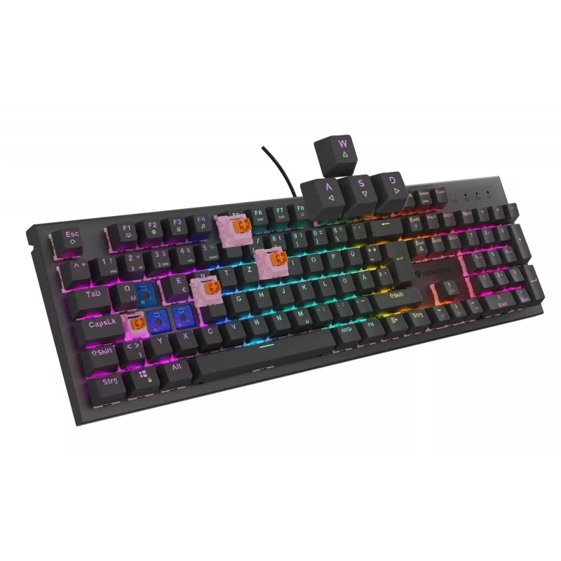GENESIS NKG-2179 klaviatuur Gaming USB QWERTZ German Must