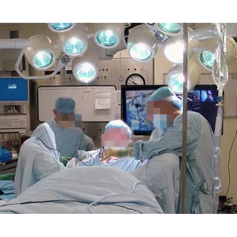 ERGOTRON Interactive Arm Hd (poleeritud alumiinium)