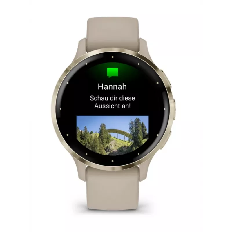 GARMIN INTERNATIONAL Venu 3S - 41 mm - nutikell rihmaga - prantsuse - hall