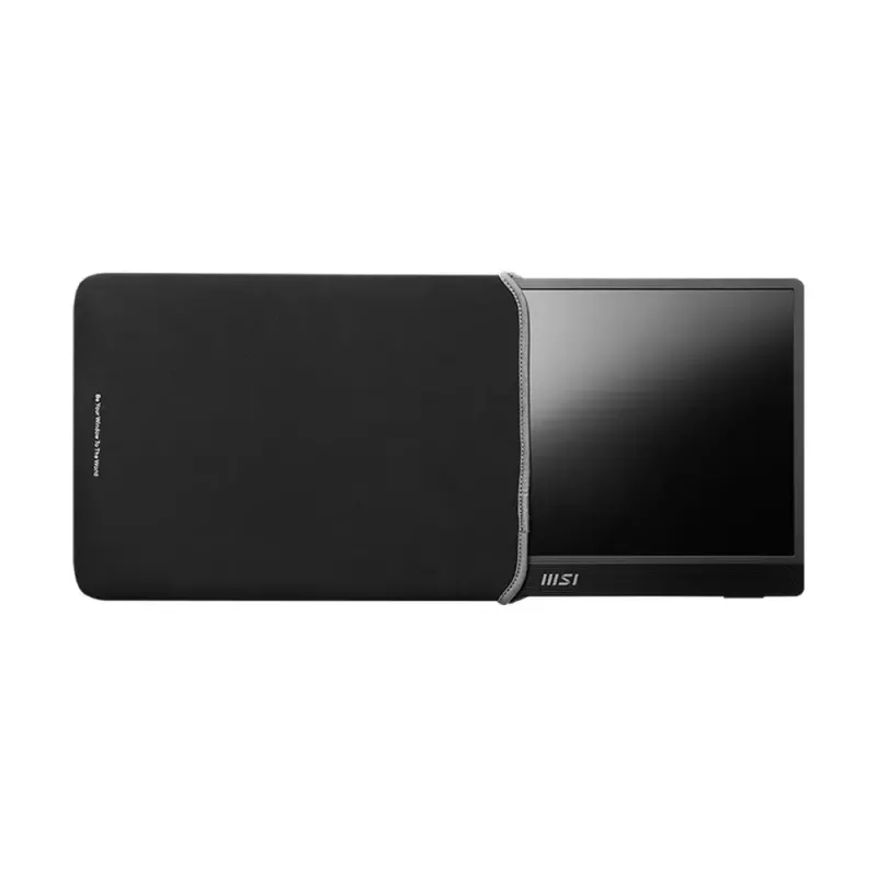 MSI PRO MP161DE E2 arvutimonitor 39,6 cm (15,6 tolli) 1920 x 1080 pikslit Full HD LED must