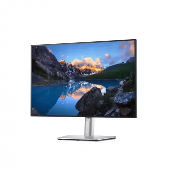 DELL UltraSharp U2421E arvutimonitor 61,2 cm (24,1 tolli) 1920 x 1200 pikslit WUXGA LCD hõbedane