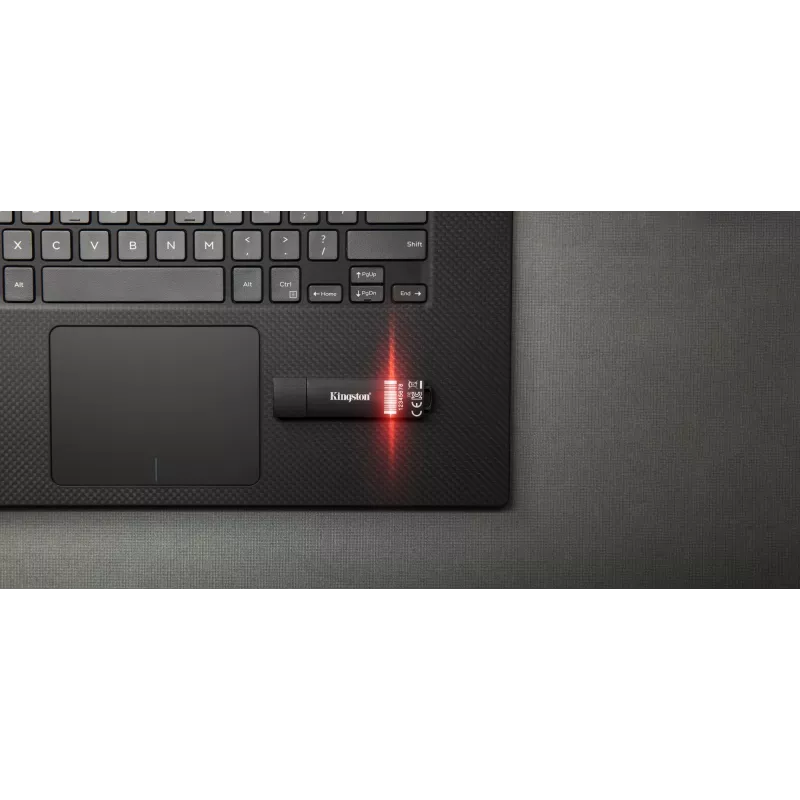 Kingston Technology IronKey 32GB D300S AES 256 XTS krüptitud USB-mälupulk