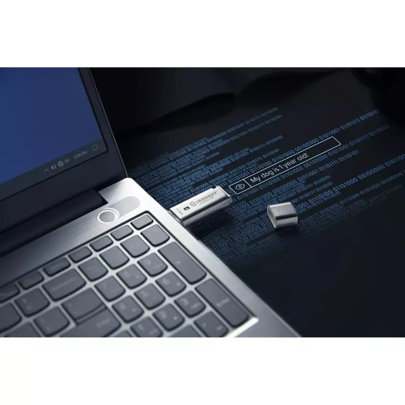 Kingston Technology IronKey 128GB IKLP50 AES USB, 256-bitise krüptimisega