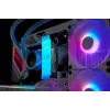 Kingston Technology FURY 32GB 3600MT/s DDR4 CL16 DIMM (2 tk komplekt) 1Gx8 Renegade RGB
