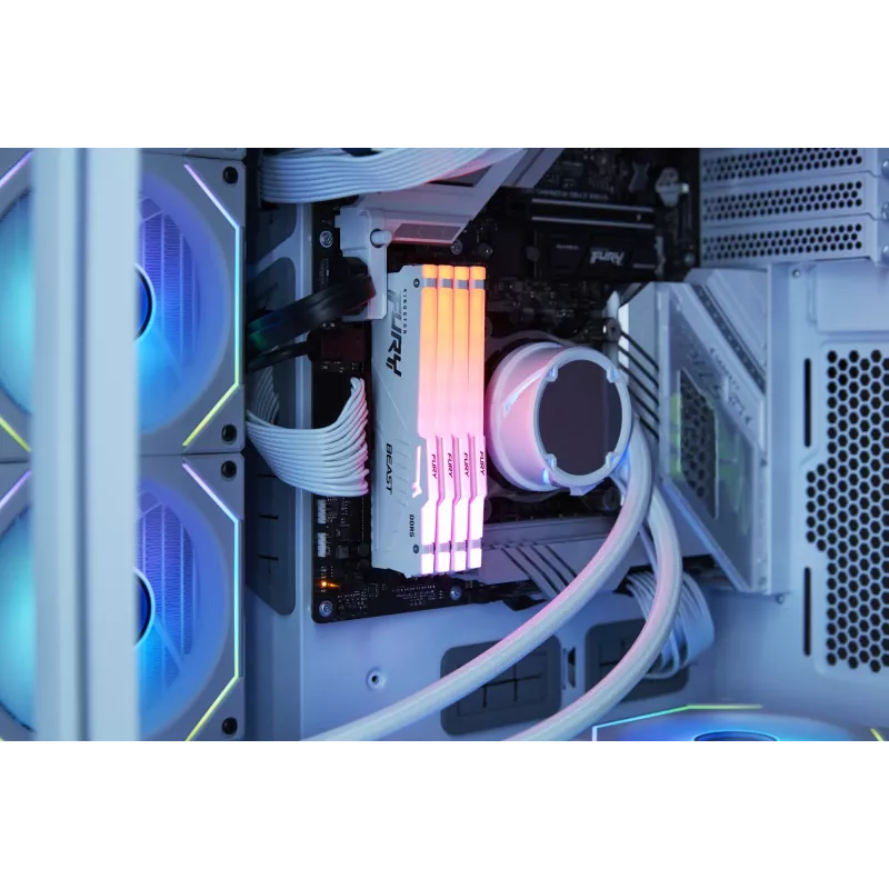 Kingston Technology FURY Beast 16GB 6000MT/s DDR5 CL36 DIMM valge RGB EXPO