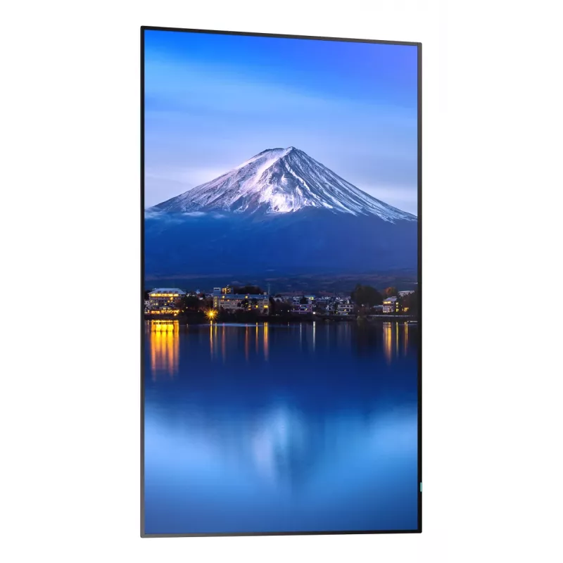 Sharp MultiSync P656 Kiosk disain 163,8 cm (64,5 tolli) LCD 700 cd/m² 4K Ultra HD Must sisseehitatud protsessoriga