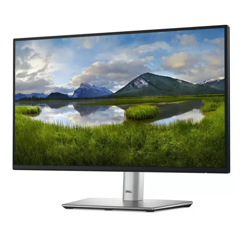 DELL P Series P2225H arvutimonitor 54,6 cm (21,5 tolli) 1920 x 1080 pikslit Full HD LCD must, hõbedane