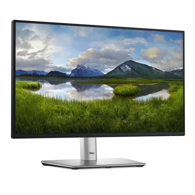 DELL P Series P2225H arvutimonitor 54,6 cm (21,5 tolli) 1920 x 1080 pikslit Full HD LCD must, hõbedane
