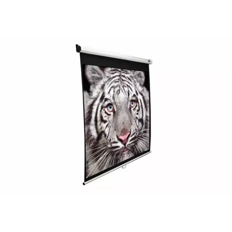 Projektsiooniekraan Elite Screens M99UWS1