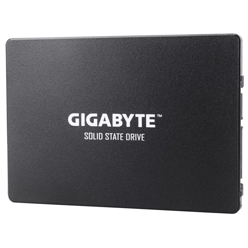 GIGABYTE GP-GSTFS31100TNTD sisemine pooljuhtketas 1 TB 2.5 tolli Serial ATA