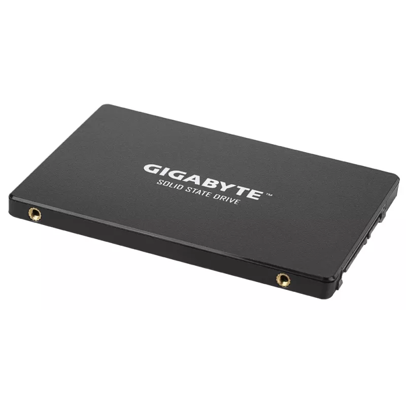 GIGABYTE GP-GSTFS31100TNTD sisemine pooljuhtketas 1 TB 2.5 tolli Serial ATA