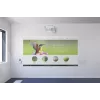 Epson EB-1485Fi Ülilühikese heitega projektor 5000 ANSI luumenit 3LCD 1080p (1920x1080) Valge
