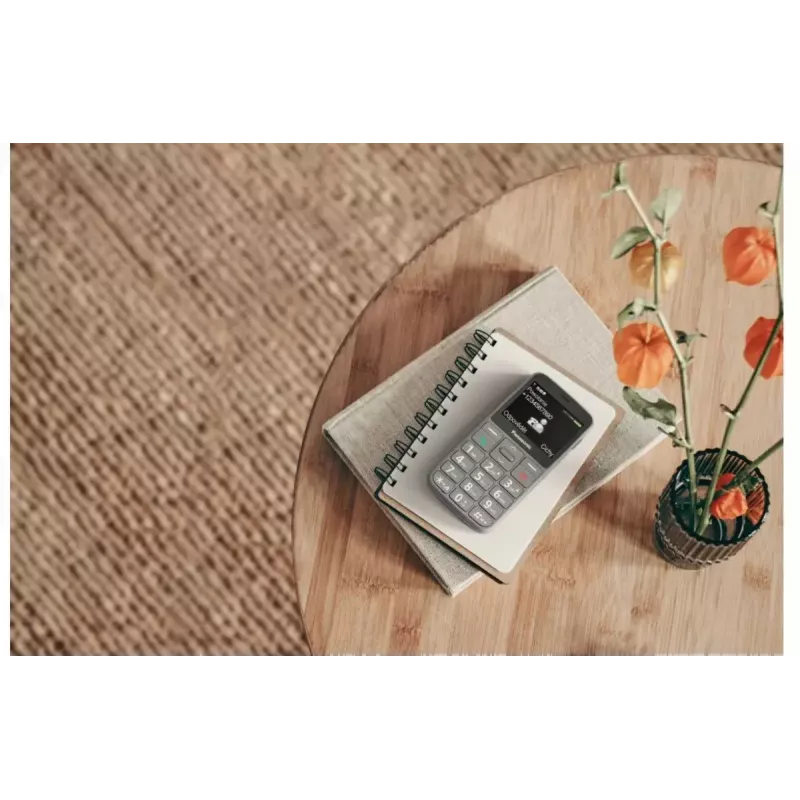 Mobiiltelefon Panasonic KX-TU160 2,4-tolline