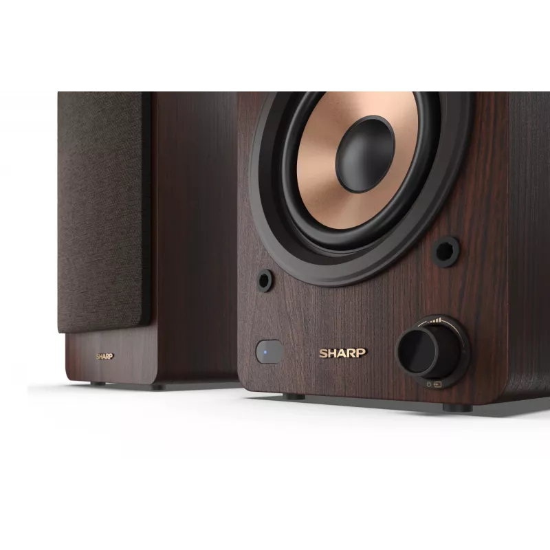 Sharp BOOKSHELF SPEAKERS 2-tee pruunid juhtmega ja juhtmevabad 60 W